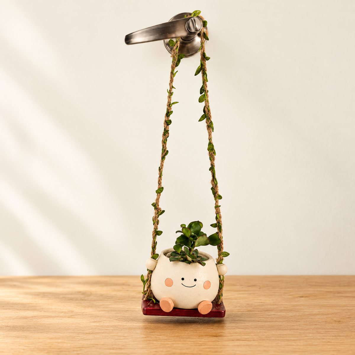 Happy Little Swing – Hanging Succulent