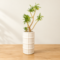 Living Sculpture No. 001