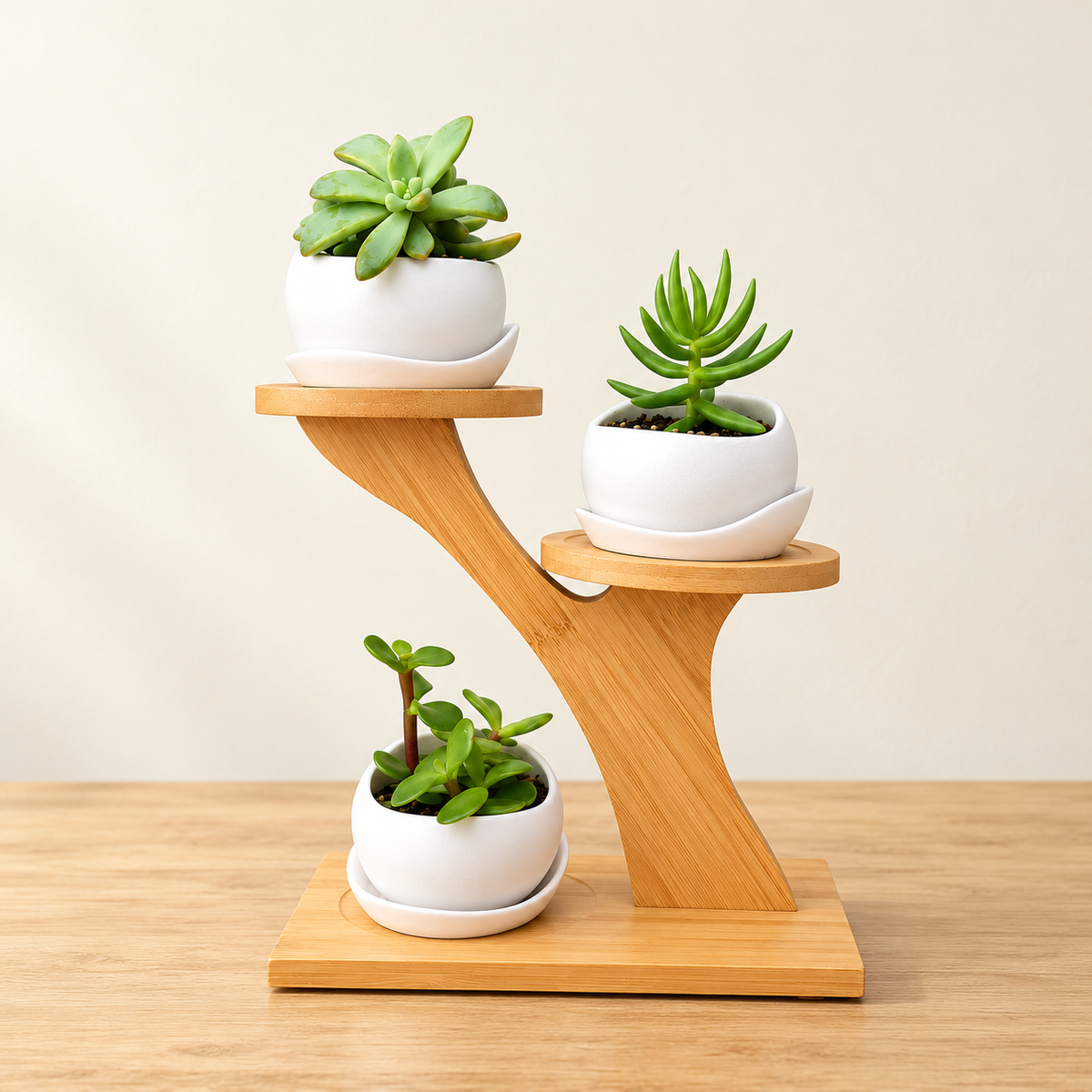 Mini Succulent Tree Trio