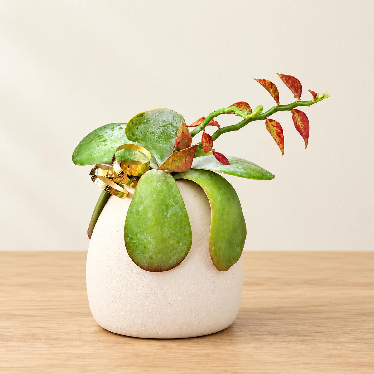 Miniature Tropical Palm